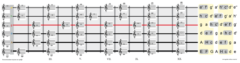 Расположение_звуков_на_грифе